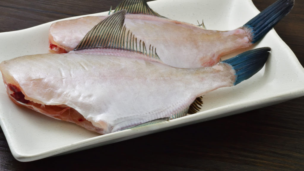 ウマヅラハギは旨い カワハギとの違い 食べ方を魚屋が解説