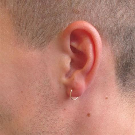 Cartilage earring, tiny leaf gold hoop; Plain Endless Mens Hoop Earrings Endless Choose Your Size