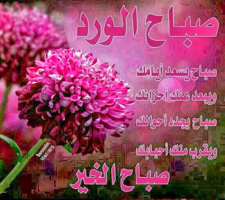 صور تصبيح , بوستات صباح الخير - صور حب
