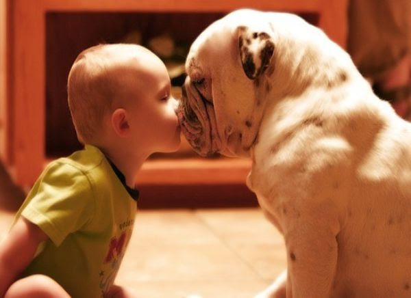 Children and Animals. Part 2 (84 pics)
