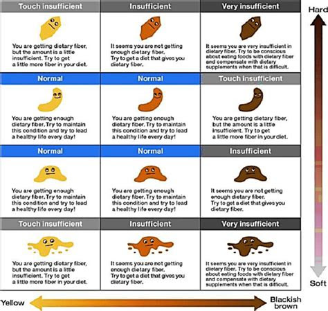  12 free printable stool color charts word pdf stool color chart