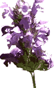 Self heal