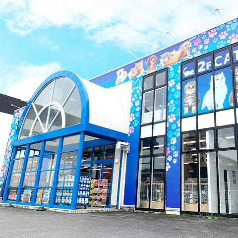 猫カフェなら猫喫茶空陸家 三重 津高茶屋店