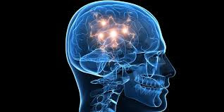 Cerveau