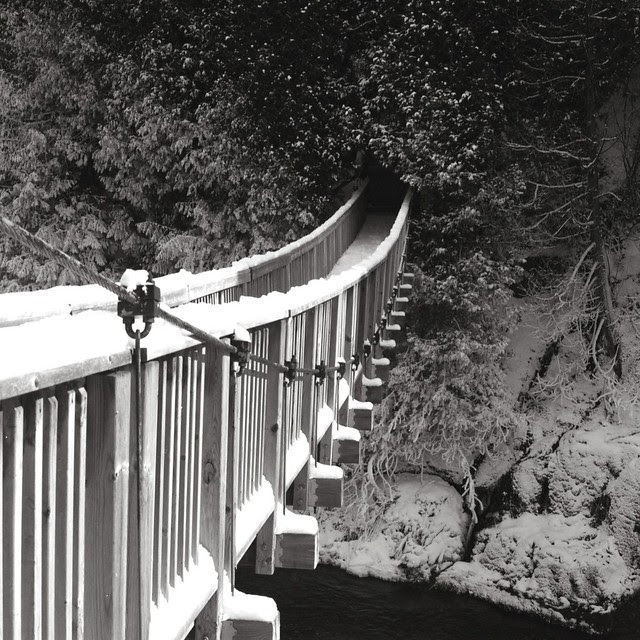 Hanging Bridge