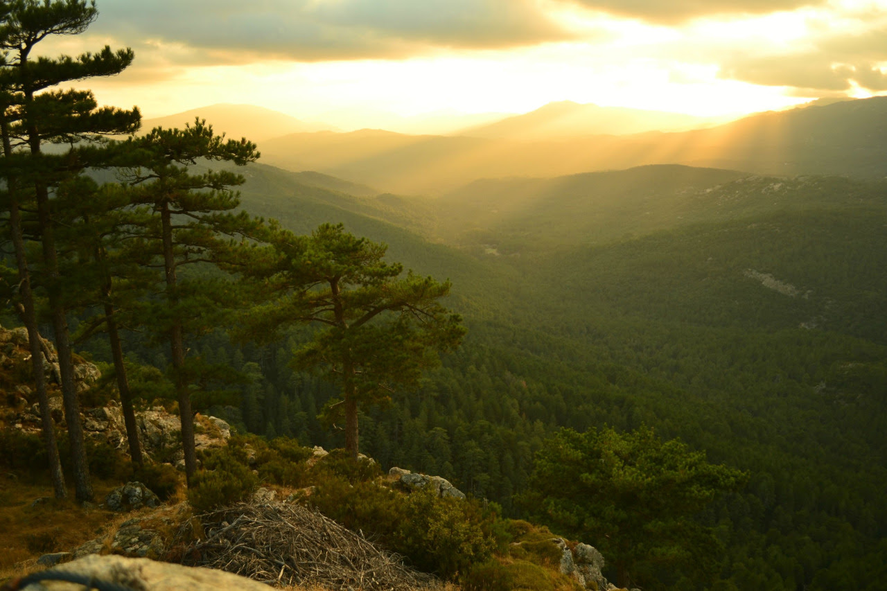 Stunning Scenaries