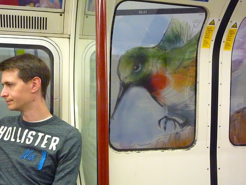 Profiles width=