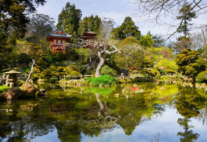 Ways in which San Francisco Leads the Green Movement