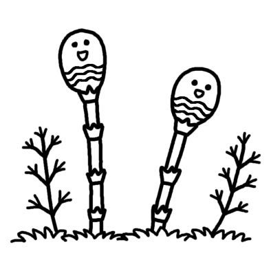 つくし1 春の植物 春 無料 白黒イラスト素材