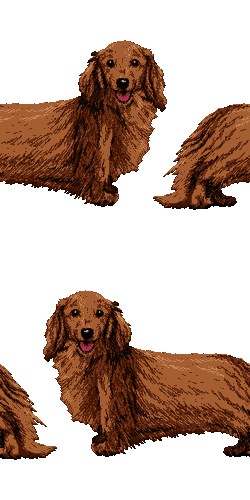 犬 ミニチュア ダックスフンドの壁紙イラスト 条件付フリー素材集 壁紙tank
