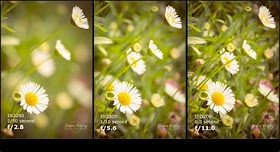 Aperture Photography Examples In 2023