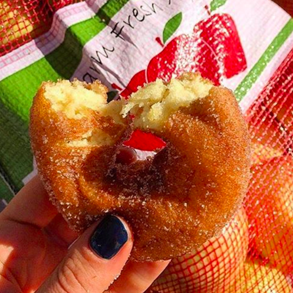 We asked the BuzzFeed Community for their favorite foods to eat and drink in fall in New York, and added in a few of our own, too. So here are 24 delicious fall treats to add to your NYC bucket list this season.