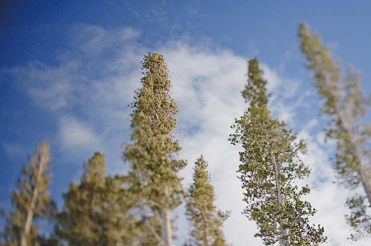 tahoe_03