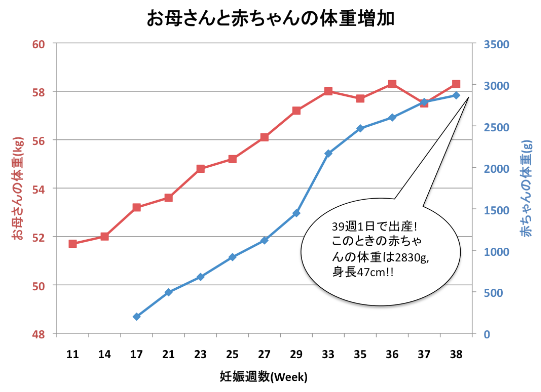 赤ちゃんに会えるまで 妊娠 出産のキオク