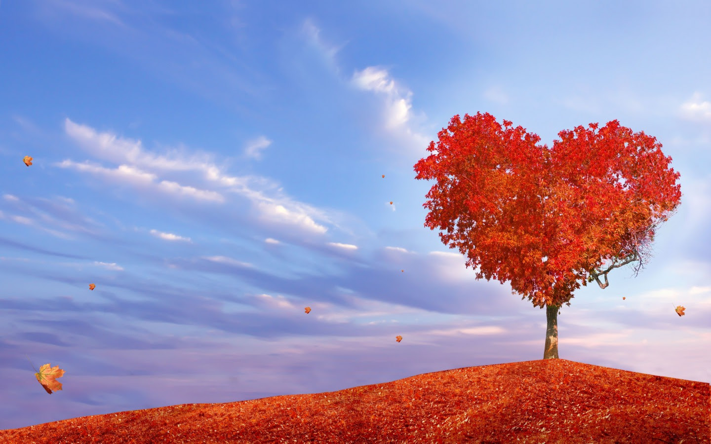 Love Love Wallpaper Fanpop Page 3