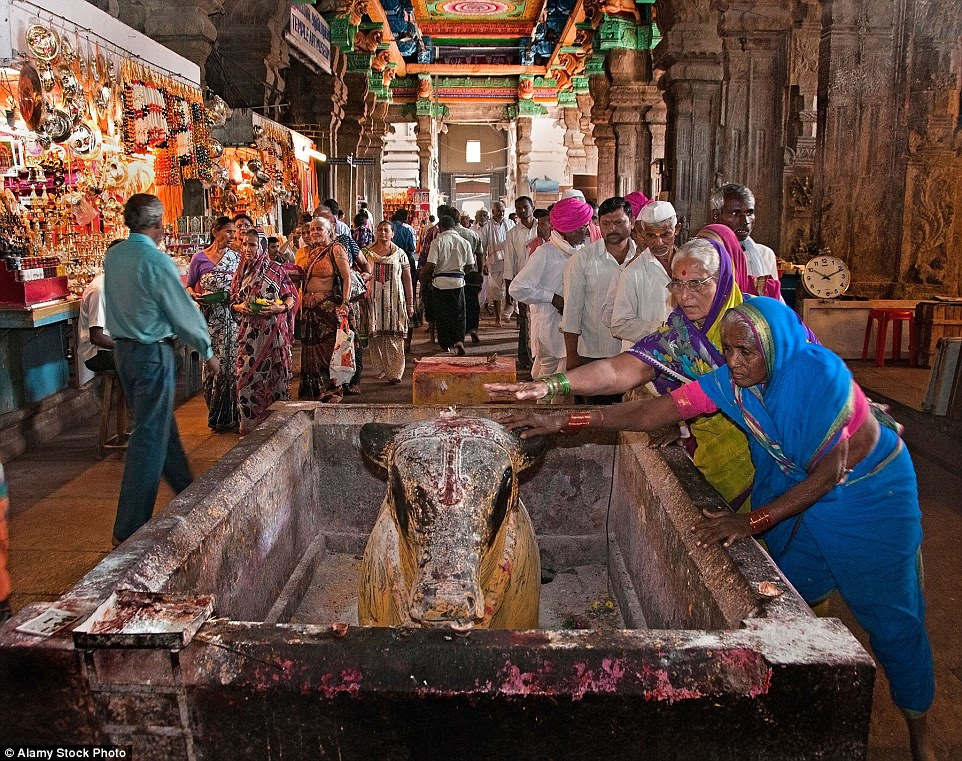 Uma estátua de vaca sagrada no Sri Meenakshi Amman Temple Hindu, dedicado à deusa Hindu Parvati