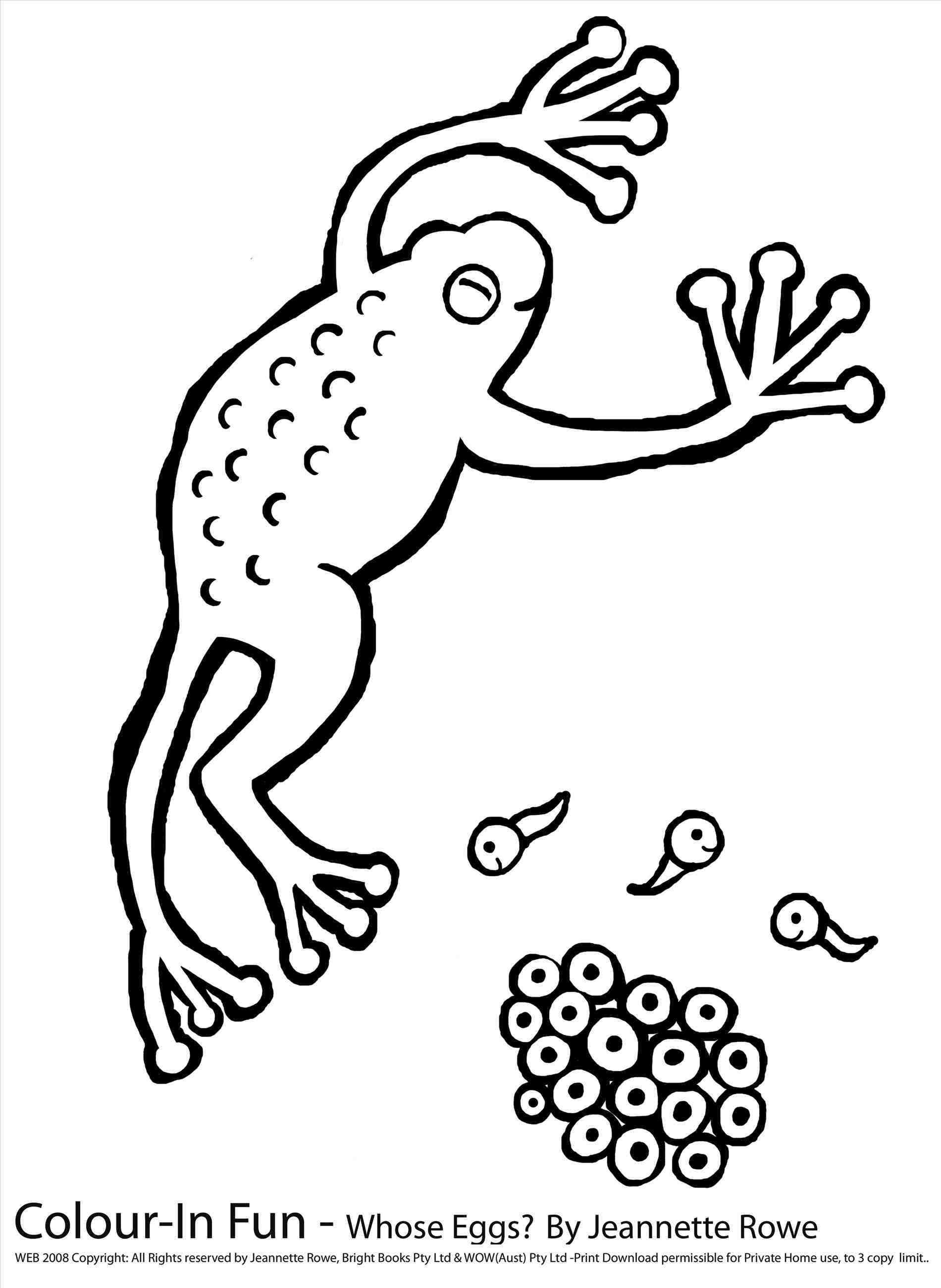 Download Egg Carton Coloring Page at GetColorings.com | Free ...