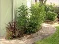 70以上 front yard florida friendly landscaping 188901