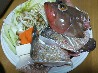 アコウ料理 キジハタ料理