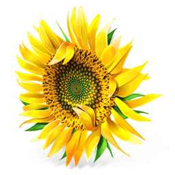 Download Sunflower Icon | Ukrainian Motifs Iconset | Artua.com