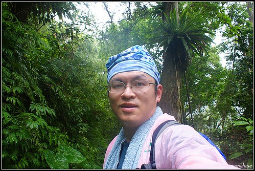 DSC00384