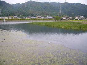 亀岡市 野池探索 ビッグフットアウトドアのアジト 楽天ブログ