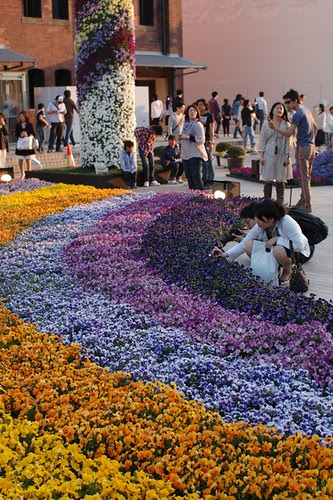 Flower festival in Yokohama