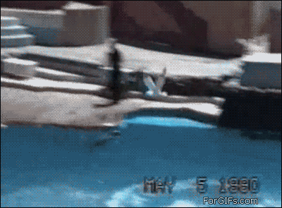  photo abd-250-2.gif