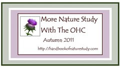 More Nature Study Button