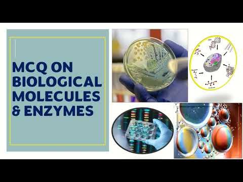 Mcq On Enzymes