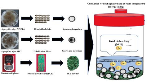 What do these things do? Metals | Free Full-Text | Gold Bioleaching from Printed