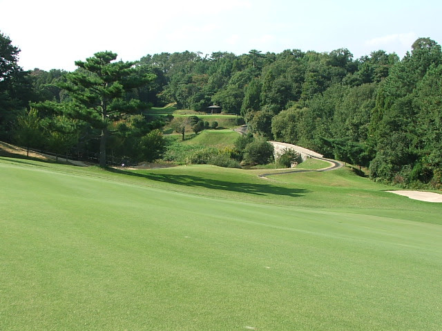 H14 fwy
