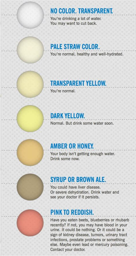 Webjan 10, 2023 · what color is your urine? what the color of your pee says about your health