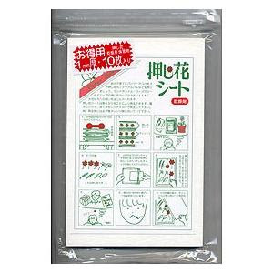 押し花 作り方からアレンジまで 魅せられる押し花の世界をご紹介 Izilook