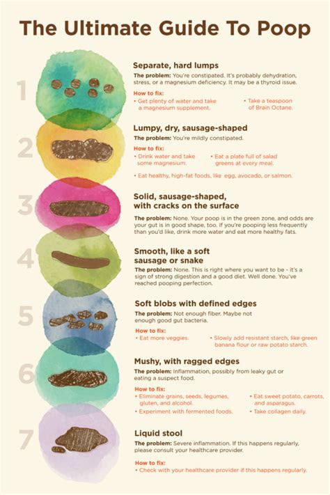 And texture causes such as a high fat diet, medications, intestinal bleeding, pancreatitis, alcohol abuse, and ulcers. poop stool color changes color chart and meaning healthy concept stock