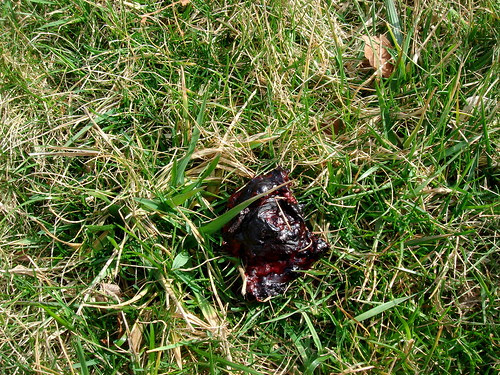 DSC00018