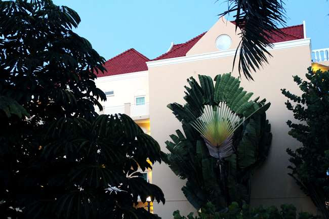 Image Hosted by ImageShack.us