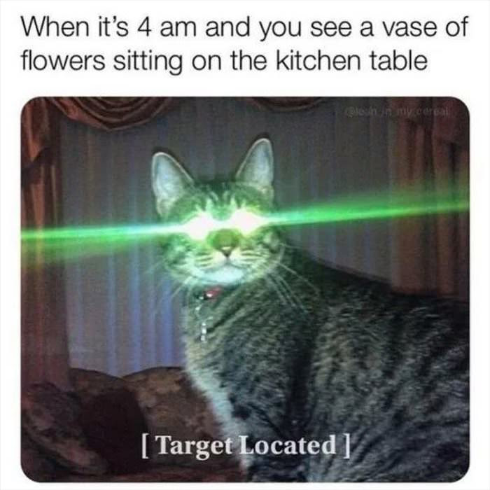 dailyhaha funny pictures
