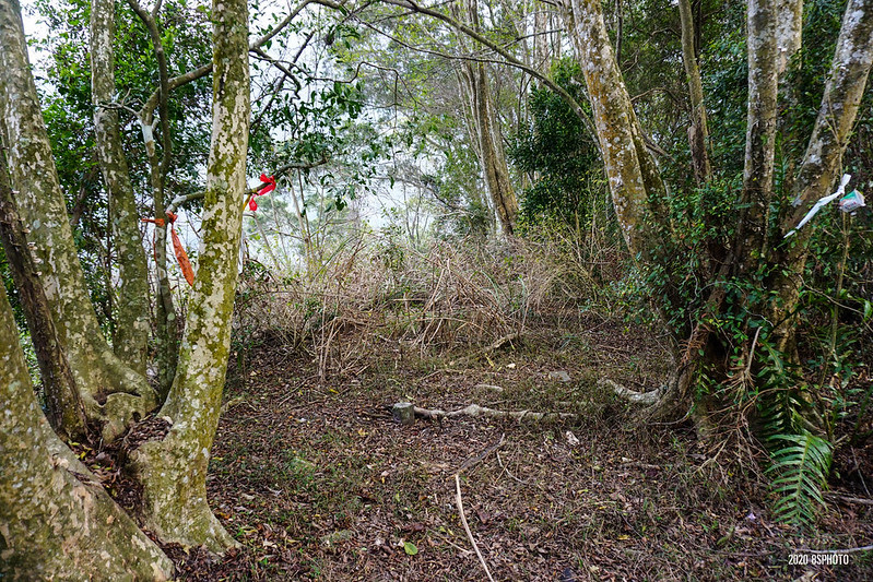 DSC02784