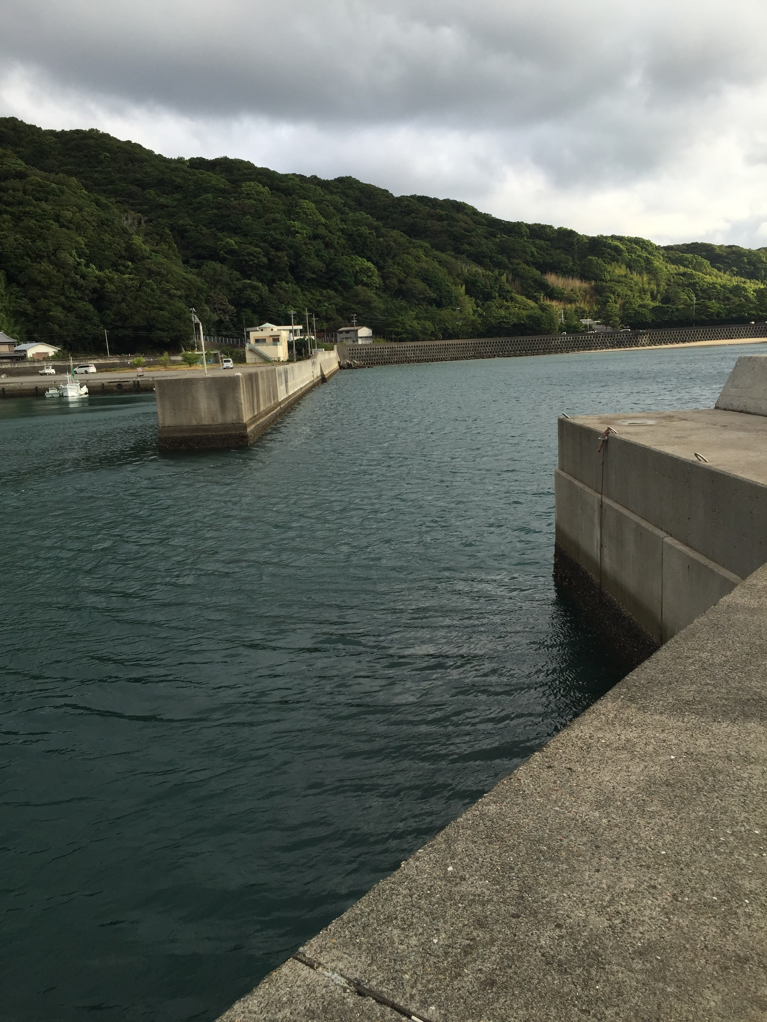 夏イカ 秋イカ狙いのエギングやサビキ釣りにオススメのポイント 小浦漁港の釣り場紹介 和歌山中紀の常夜灯のある漁港 ヒラマサとアオリイカを求めて