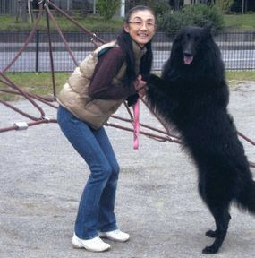 About Us 当犬舎について