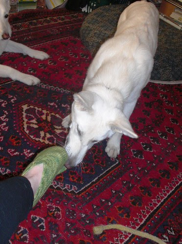 Happy Nov.28-taking off my socks-2