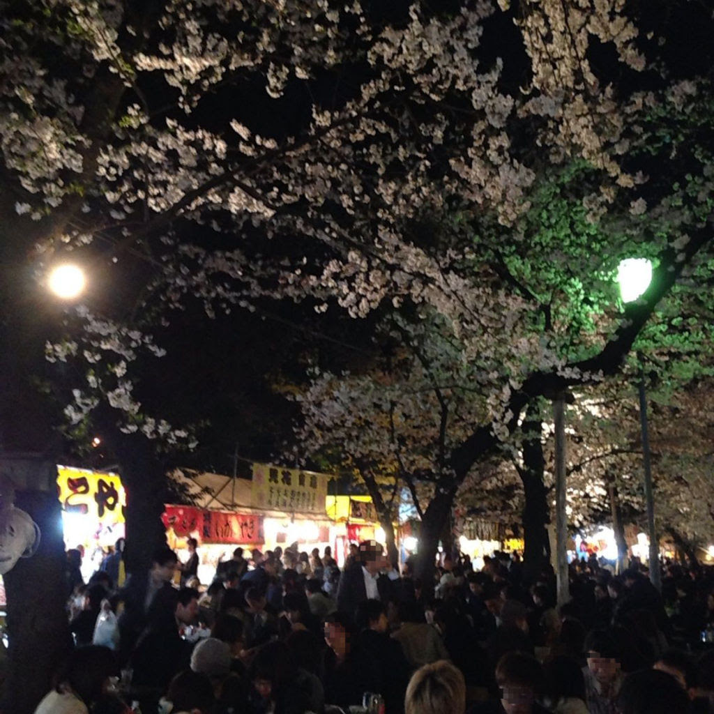 靖国神社で花見 九段下 酔 すい のどうでしょう 酔酔どうでしょう ひとり放浪編