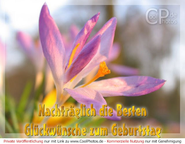 alles gute zum geburtstag heavy metal