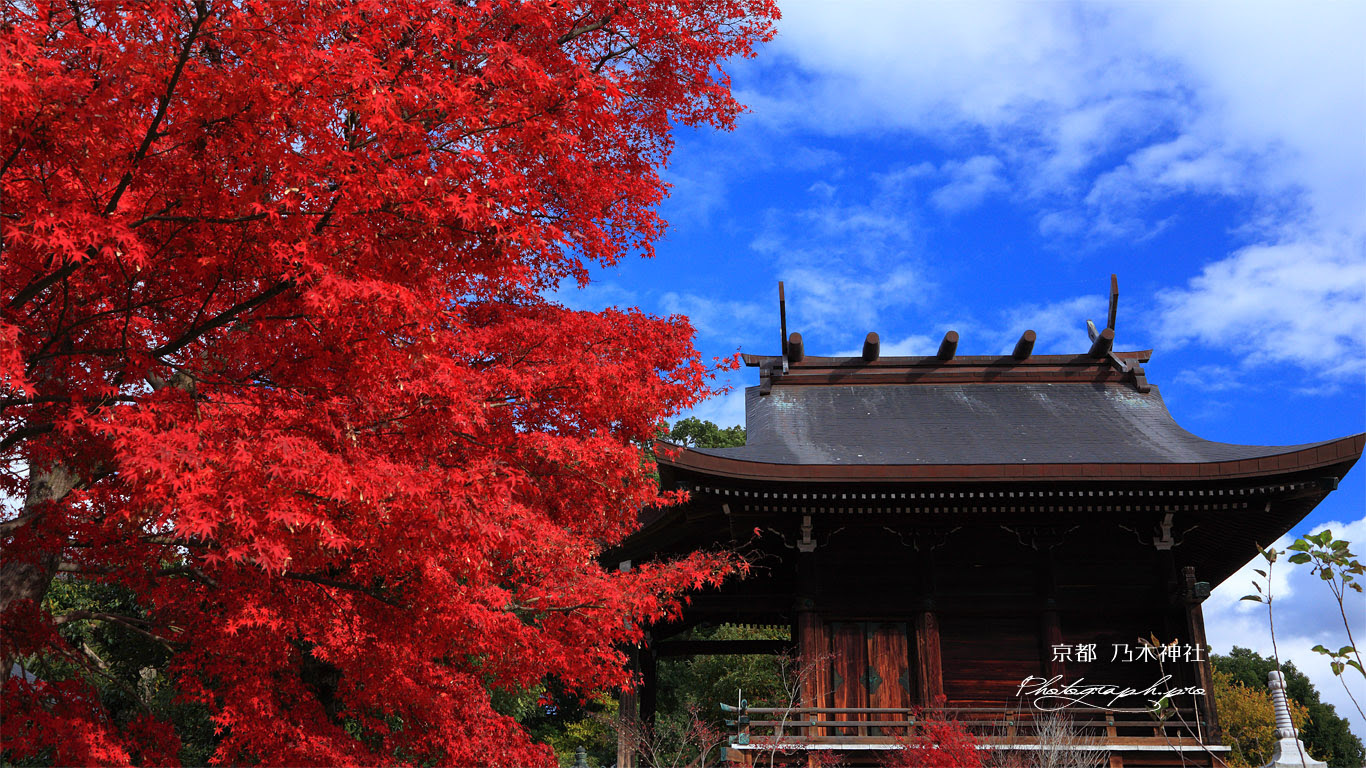 京都乃木神社 紅葉と本殿 の壁紙 1366x768