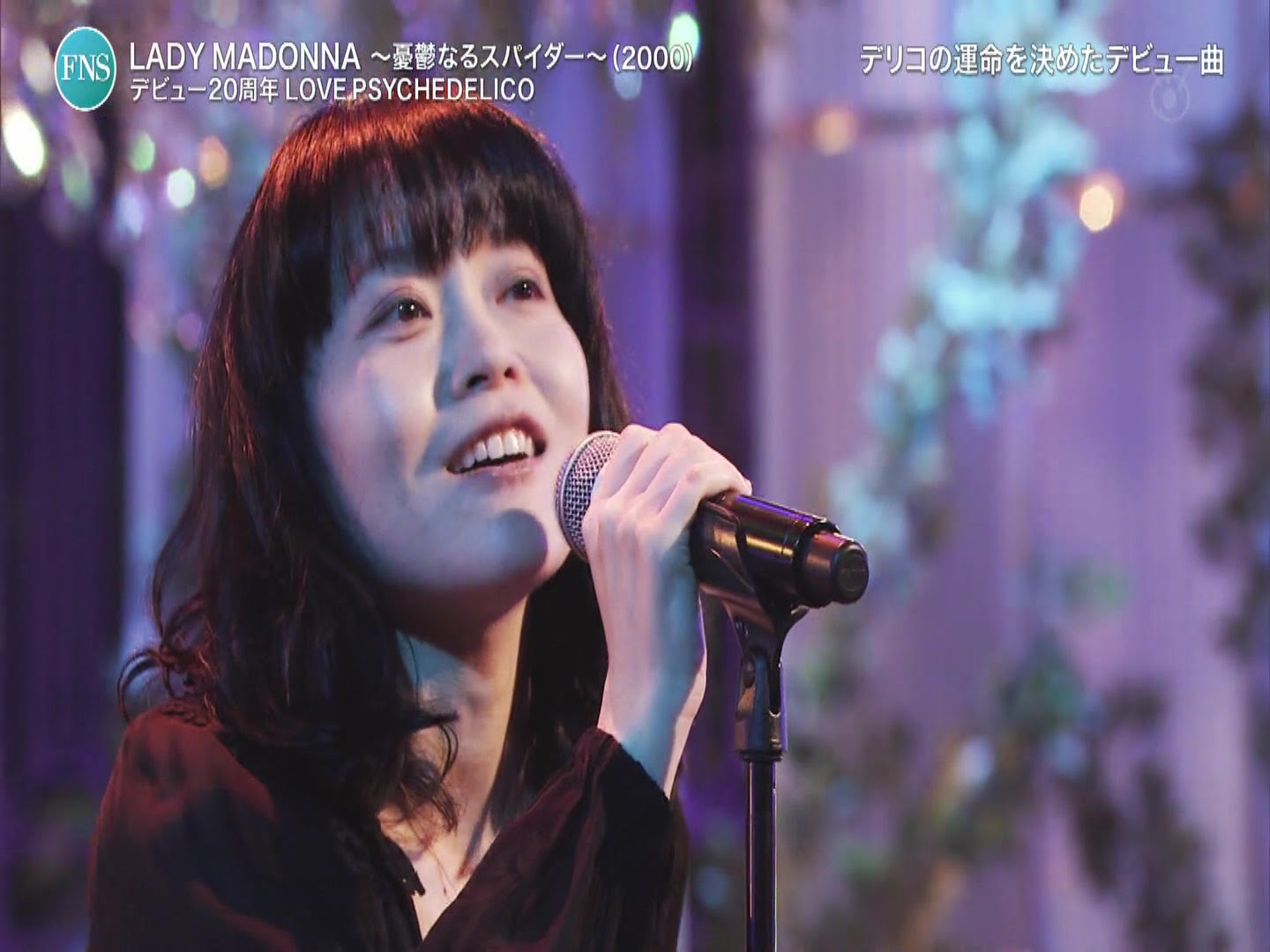 Lady Madonna 憂鬱なるスパイダー 哔哩哔哩 Bilibili
