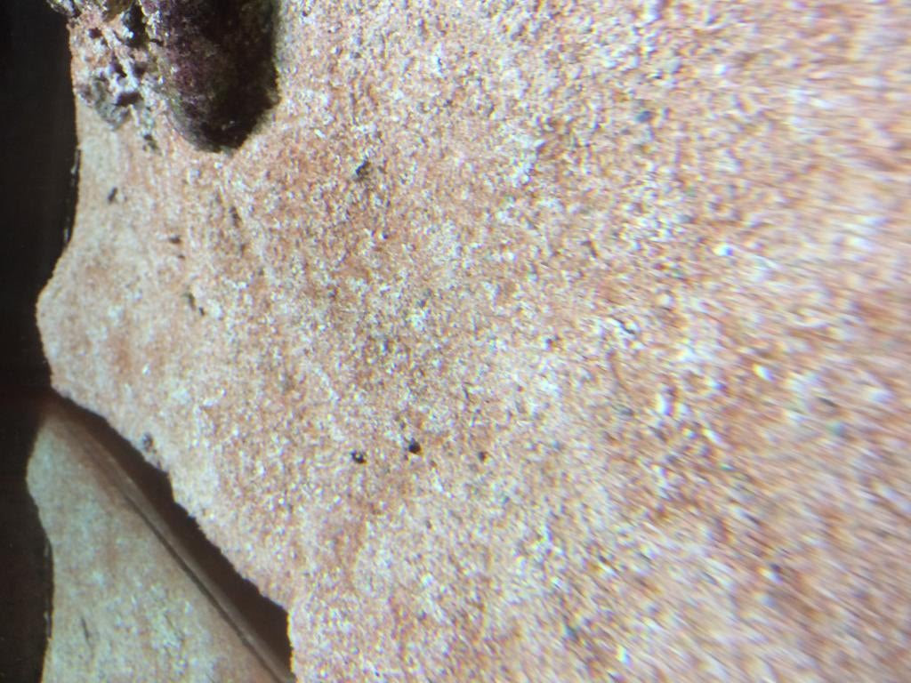 Click image for larger version Name: IMG_1345.jpg Views: N/A Size: 128.3 KB ID: 159225