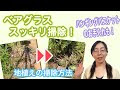 [10000ダウンロード済み√] 庭 ハーブ 地植え 328262-庭 ハーブ 地植え