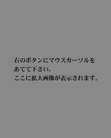 杉野学園衣裳博物館