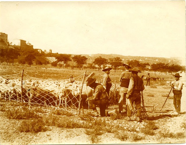 Aprisco en la Vega Baja a comienzos del siglo XX. Fotografía de Pedro Román Martínez. Centro de Estudios Juan de Mariana. Diputación de Toledo
